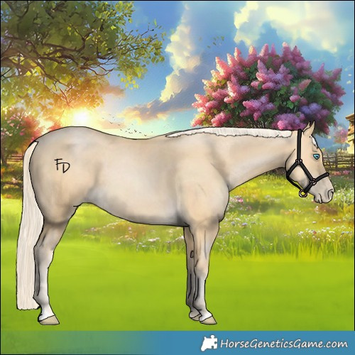 Horse Color:Palomino Pearl 