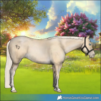 Horse Color:Palomino Pearl 