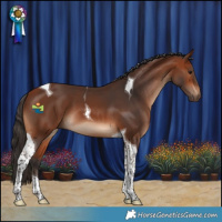 Horse Color:Bay Tobiano 