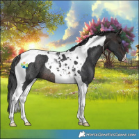 Horse Color:Brown Tobiano Rabicano