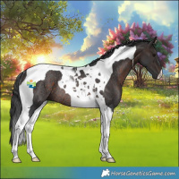 Horse Color:Brown Tobiano Rabicano 
