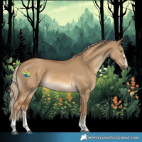 Horse Color:Chocolate Palomino Dun 