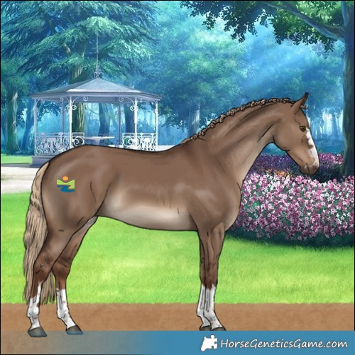 Horse Color:Liver Red Dun 