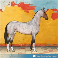 Horse Color:Brown Roan 