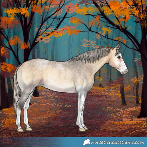 Horse Color:Silver Buckskin Roan Onyx Sabino Rabicano 