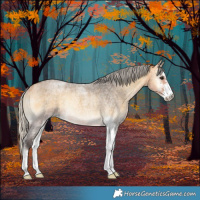 Horse Color:Silver Buckskin Roan Onyx Sabino Rabicano 