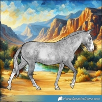 Horse Color:Silver Blue Onyx Chinchilla Ice Roan Sabino 