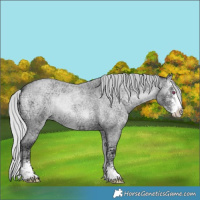 Horse Color:Silver Blue Onyx Chinchilla Ice Roan Sabino 