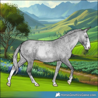 Horse Color:Silver Blue Onyx Chinchilla Ice Roan Sabino 