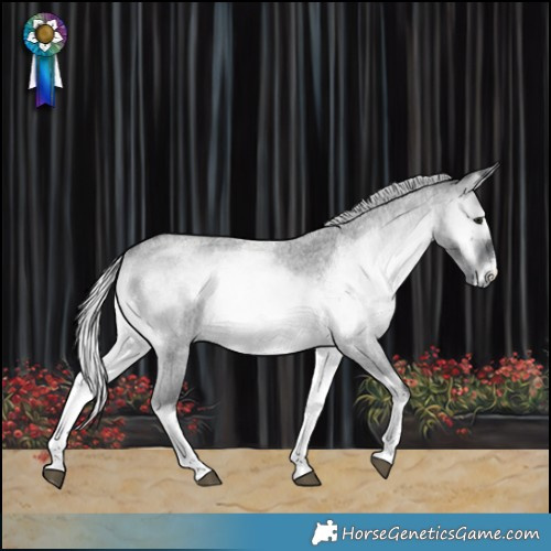 Horse Color:White Spotted Silver Blue Onyx Chinchilla Roan Rabicano 