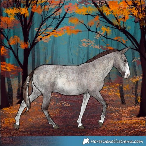 Horse Color:Chocolate Brown Ice Roan Onyx Sabino Rabicano 