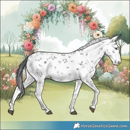 Horse Color:White Spotted Brown Chinchilla Ice Sabino 