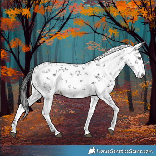 Horse Color:White Spotted Brown Chinchilla Ice Sabino 