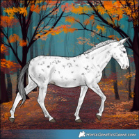 Horse Color:White Spotted Brown Chinchilla Ice Sabino 