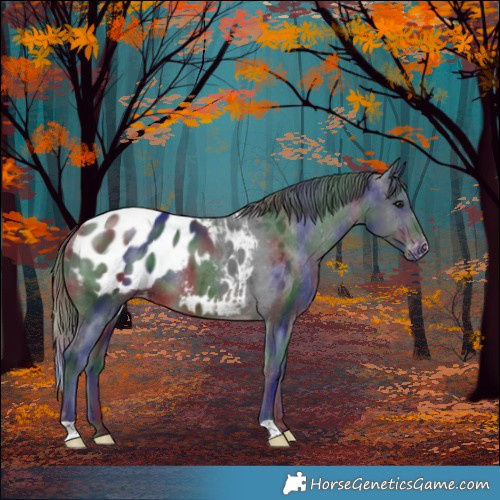 Horse Color:Nacre Brown Blanket