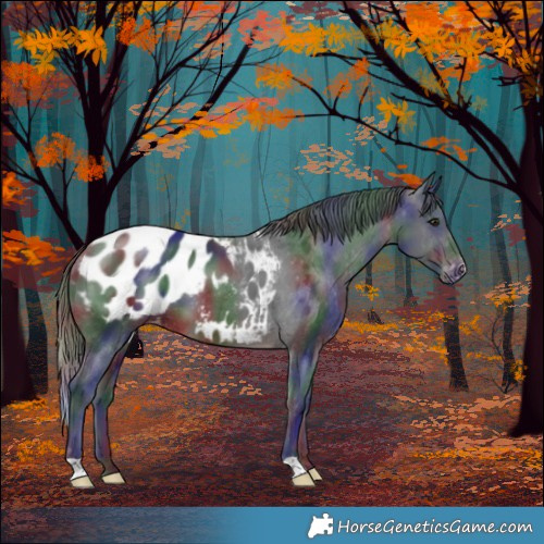 Horse Color:Nacre Brown Blanket 