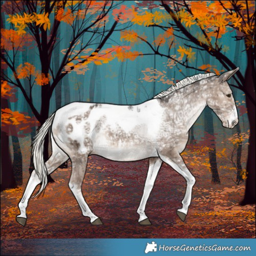Horse Color:Liver Red Dun Ice Mushroom Sabino Tobiano Blanket Brindle