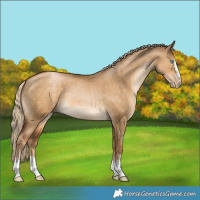 Horse Color:Gray Chocolate Palomino Pearl Dun Mushroom 