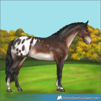 Horse Color:Brown Mushroom Tobiano Blanket Rabicano 