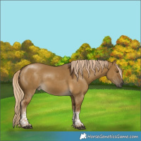 Horse Color:Chocolate Palomino Dun Mushroom Tobiano 
