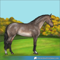 Horse Color:Brown Dun Mushroom Rabicano 