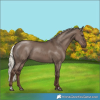 Horse Color:Liver Red Dun Mushroom 