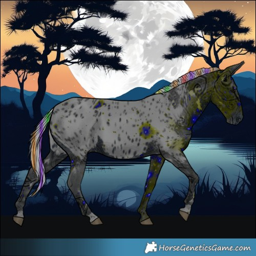 Horse Color:ERROR: UNKNOWN ANOMALY