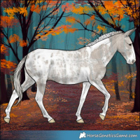 Horse Color:Plaid Silver Grullo Ice Sabino Tobiano Blanket Rabicano
