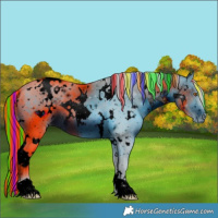 Horse Color:ERROR: UNKNOWN ANOMALY