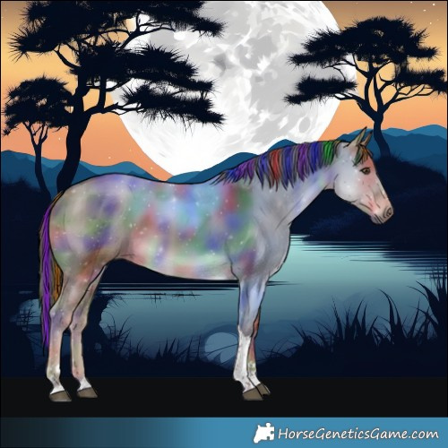 Horse Color:Painted Nacre Liver Red Dun Tobiano 