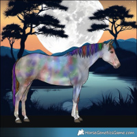 Horse Color:Painted Nacre Liver Red Dun Tobiano 
