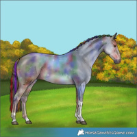 Horse Color:Painted Nacre Liver Red Dun Tobiano