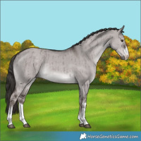 Horse Color:Platinum White Spotted Liver Red Dun Rabicano Brindle