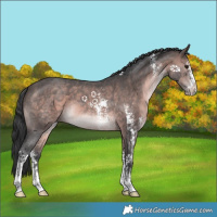 Horse Color:Platinum Brown Sabino 