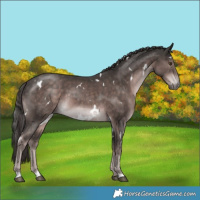 Horse Color:Platinum White Spotted Liver Chestnut 