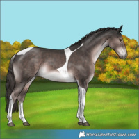 Horse Color:Platinum Liver Chestnut Tobiano 