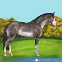 Horse Color:Platinum White Spotted Liver Chestnut 