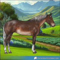Horse Color:Silver Brown Sabino Tobiano 