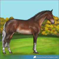 Horse Color:Silver Brown Sabino Tobiano 