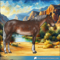 Horse Color:Silver Brown Sabino Tobiano 