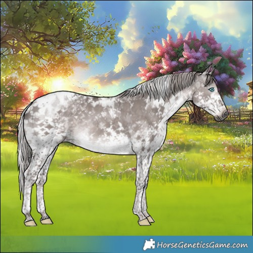 Horse Color:Gray Platinum White Spotted Liver Red Dun Splash Tobiano 
