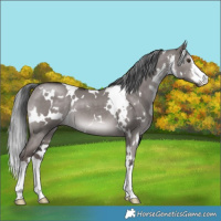 Horse Color:Platinum White Spotted Liver Red Dun Mushroom 