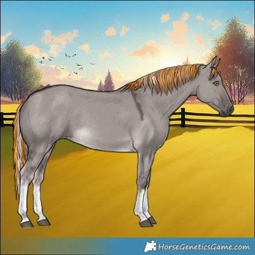 Horse Color:Platinum Painted White Spotted Chocolate Palomino Dun Rabicano 