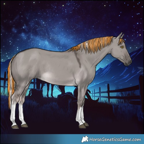 Horse Color:Platinum Painted White Spotted Chocolate Palomino Dun Rabicano 
