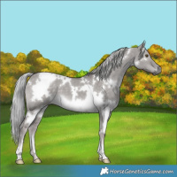Horse Color:Platinum White Spotted Chocolate Palomino Dun Mushroom
