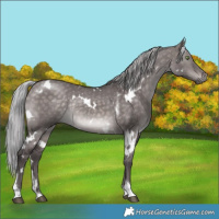 Horse Color:Platinum White Spotted Silver Brown Dun Mushroom Tobiano Rabicano 
