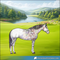 Horse Color:Nacre Brown Onyx Sabino Snowcap Rabicano 