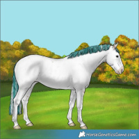 Horse Color:Painted Chocolate Silver Brown Dun Sabino 