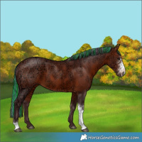 Horse Color:Painted Chocolate Bay Ice Sabino Tobiano 