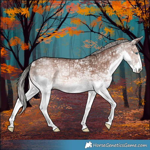 Horse Color:Liver Chestnut Ice Mushroom Splash Rabicano 